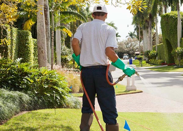 About Macatawa MI Pest Control